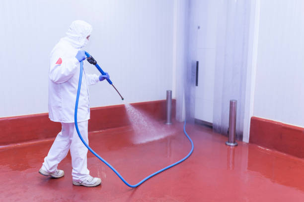 Best Spring Cleaning  in Hudson, TX